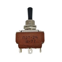 Two-pole toggle switch P2T-24 (П2Т-24) - 6A/250V